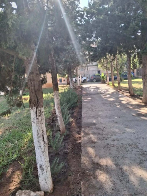 Vente Villa Alger Souidania