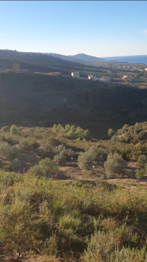 Vente Terrain Tizi Ouzou Azeffoun 2