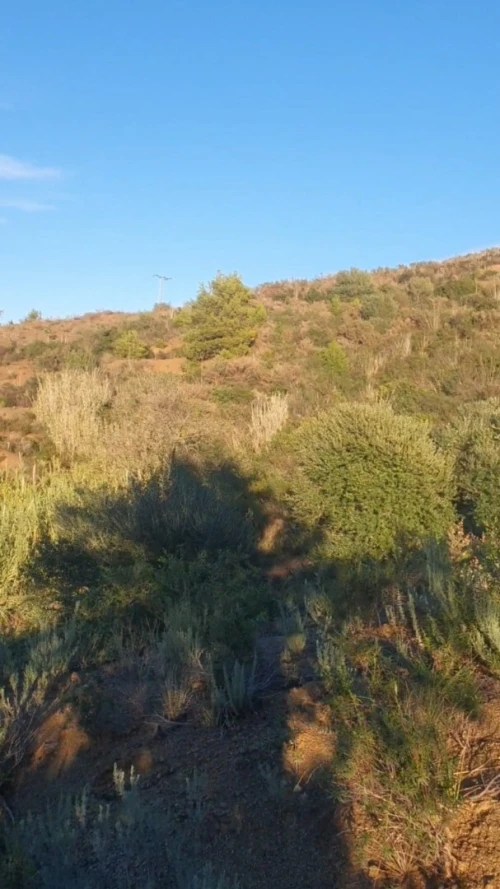 Vente Terrain Tizi Ouzou Azeffoun 3