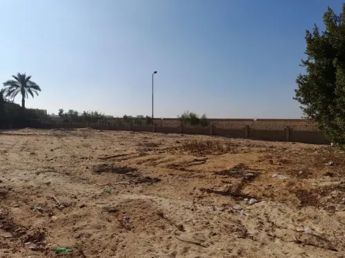 Vente Terrain Aïn Témouchent Hammam bouhadjar