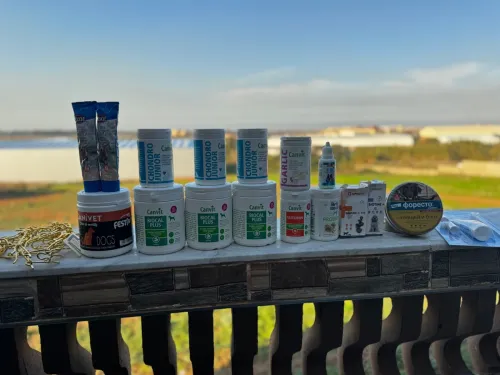 Complément alimentaire et accessoires chiens