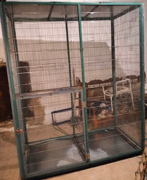 Box Oiseaux ( Cage )