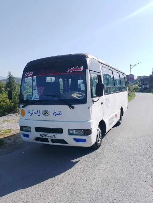 FOTON Lifan 2011