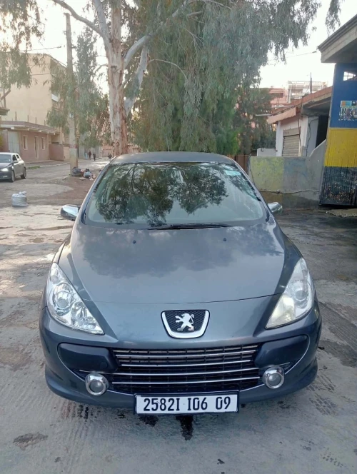 Peugeot 307 2006 307