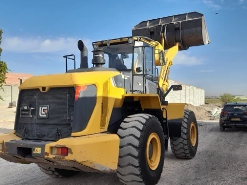 LIUGoNG 856H 2020