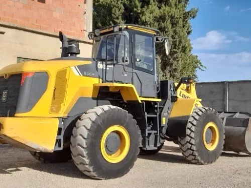 LIUGoNG 856H 2020