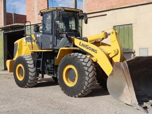 LIUGoNG 856H 2020