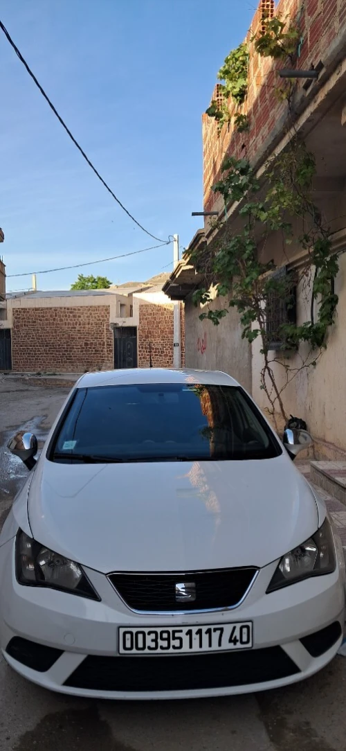 Seat Ibiza 2017 Sol