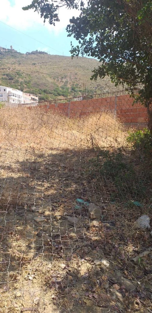 Vente Terrain Tizi Ouzou Azeffoun
