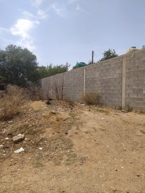 Vente Terrain Alger Reghaia