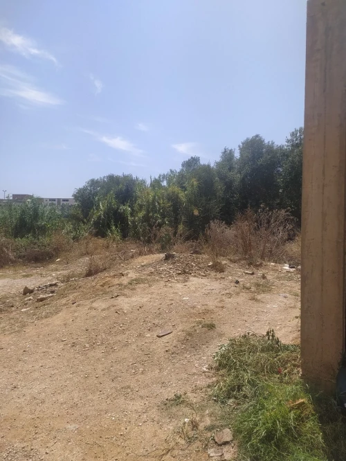 Vente Terrain Alger Reghaia