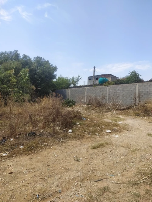 Vente Terrain Alger Reghaia