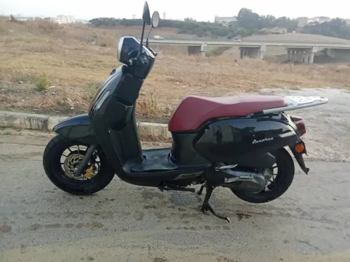 Vms Panaria 2022