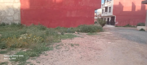 Vente Terrain Aïn Témouchent Ouled kihal