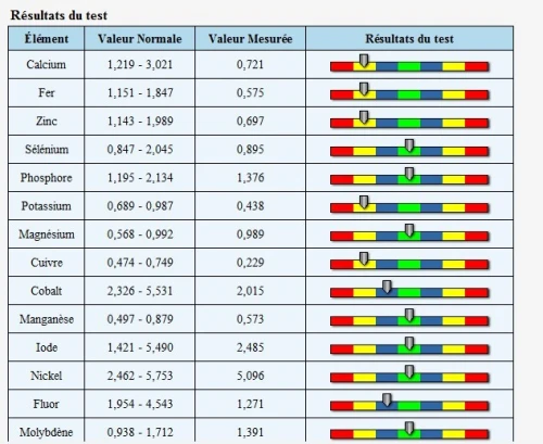 Analyseur Quantique magnetique 