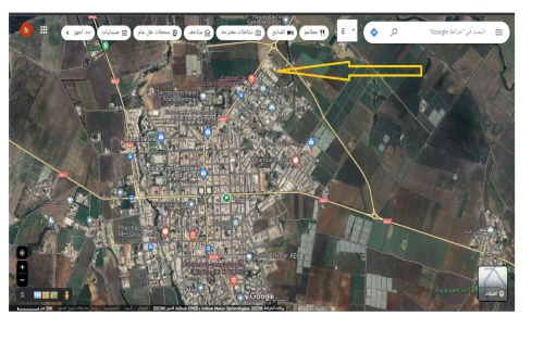 Vente Terrain Tipaza Hadjout