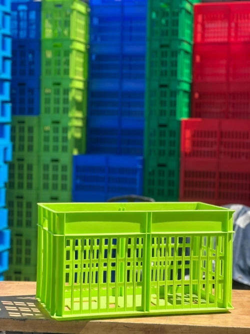 Caisse porte alvéole alimentaire