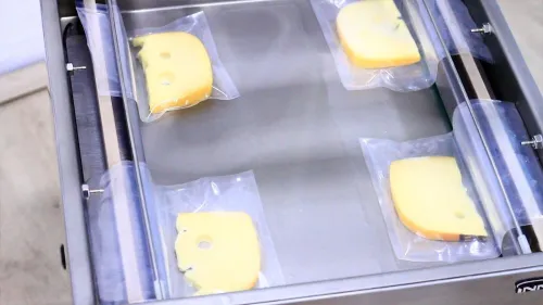 Machine sous vide deux barres VM500E