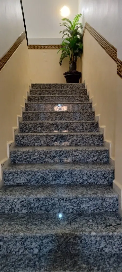 Location Appartement Niveau de villa F3 Alger Tessala el merdja