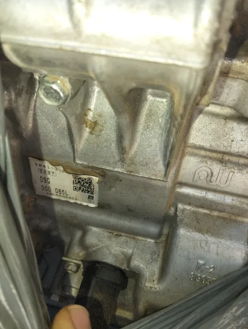 BVA DSG6