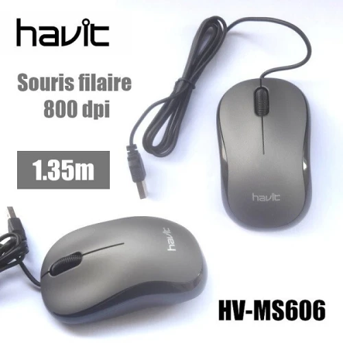 SOURIS HAVIT SIMPLE  HVMS606