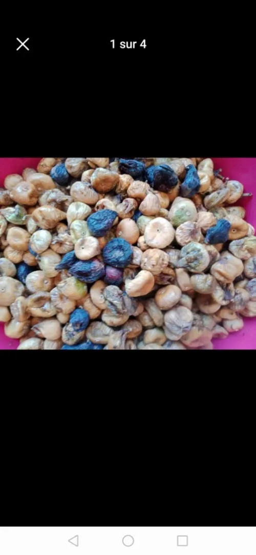 كرموس 