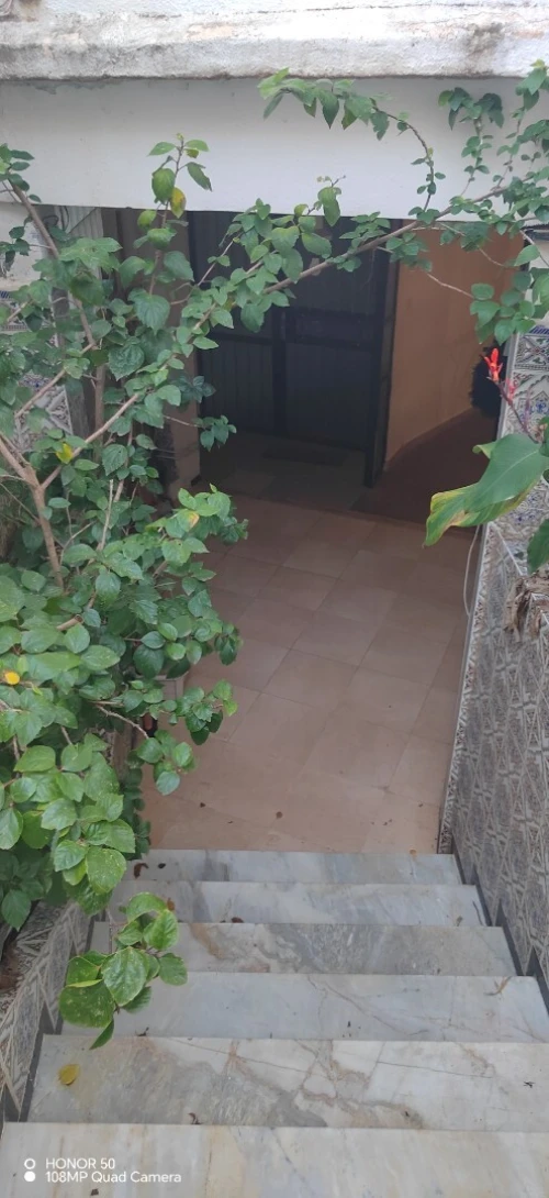 Location Appartement Duplex F5 Alger El biar