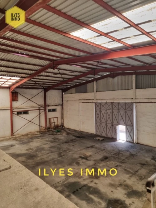 Location Hangar - Usine Sétif Setif