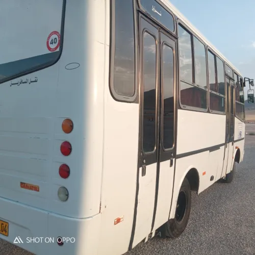 Bus Dalta 2011