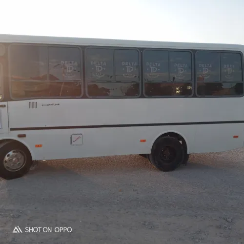 Bus Dalta 2011