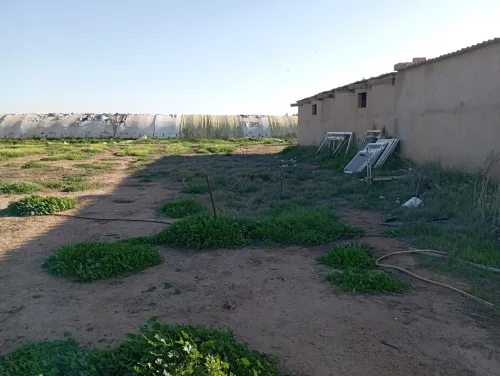 Vente Terrain Agricole Oran Misseghine