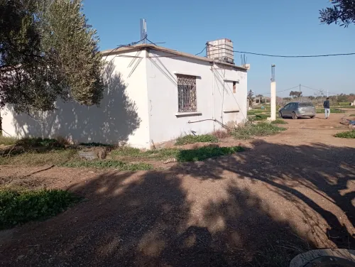 Vente Terrain Agricole Oran Misseghine