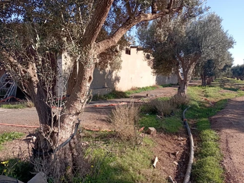 Vente Terrain Agricole Oran Misseghine