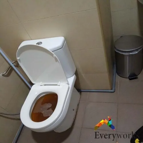 Debouchage toilette  vidange nettoyage canalisatione