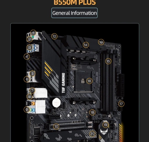 CARTE MERE ASUS TUF GAMING B550M-PLUS + CPU AMD RYZEN 5600/5600G