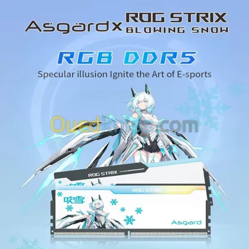 Asgard 32GB 16GBx2 DDR5 6000MHZ 6400MHZ RGB Memory Strip ROG STRIX 