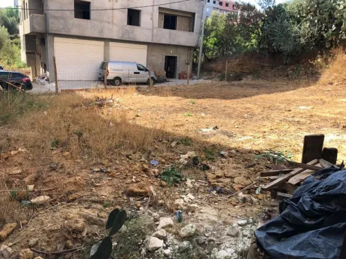 Vente Terrain Alger Douera
