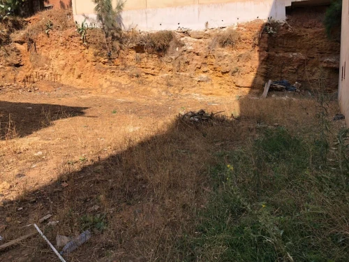 Vente Terrain Alger Douera