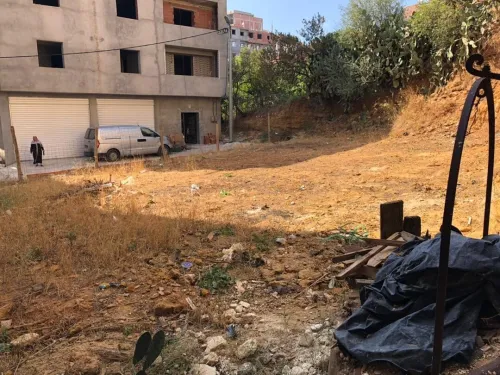 Vente Terrain Alger Douera