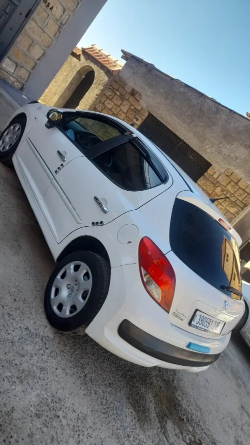 Peugeot 207 2012 Fennec