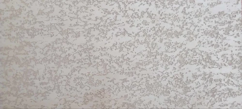 طلاء الواجهات الخارجية Facade monocouche