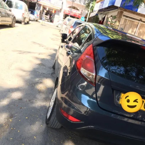 Ford Fiesta 2013 Fiesta