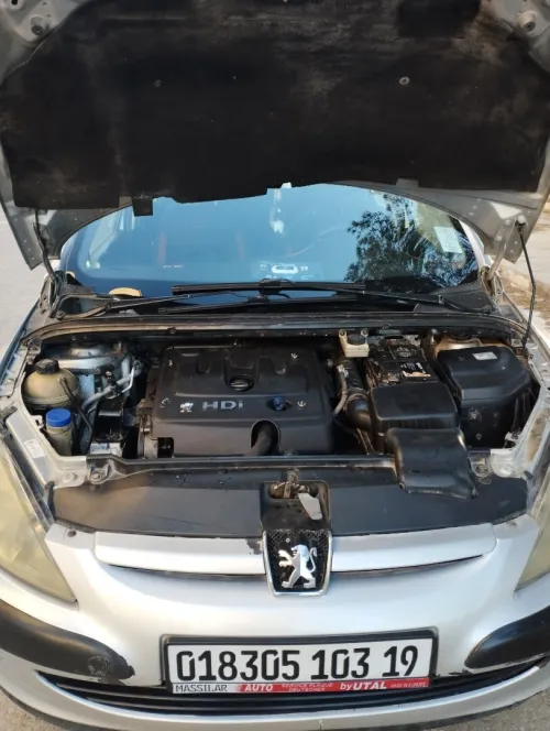Peugeot 307 2003 307