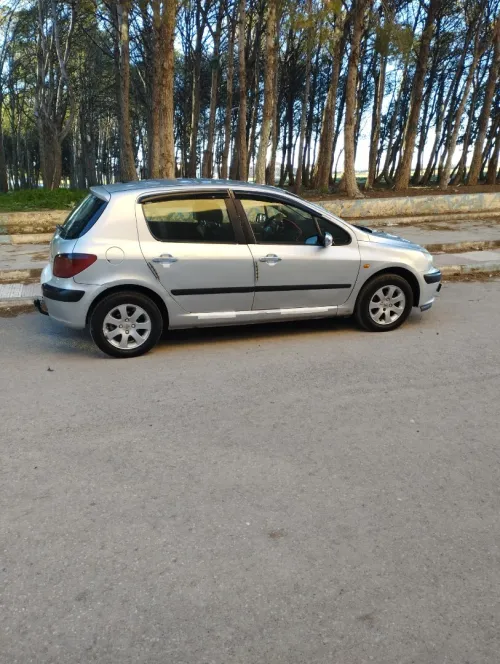 Peugeot 307 2003 307