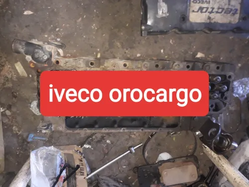 Iveco orocargou 