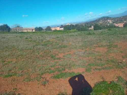 Vente Terrain Bouira Ahl el ksar