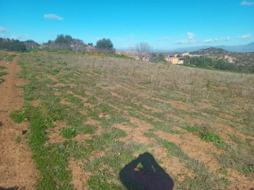 Vente Terrain Bouira Ahl el ksar
