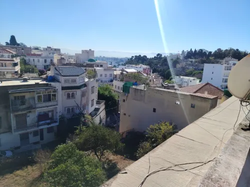 Vente Terrain Alger El biar