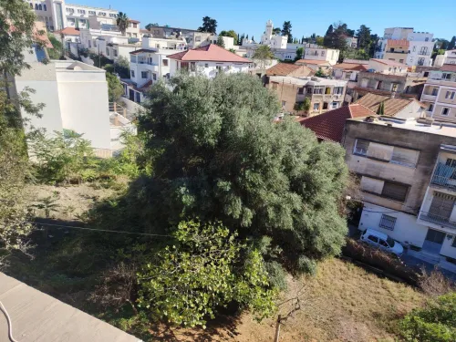 Vente Terrain Alger El biar