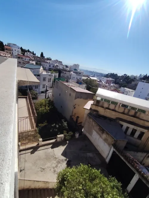 Vente Terrain Alger El biar